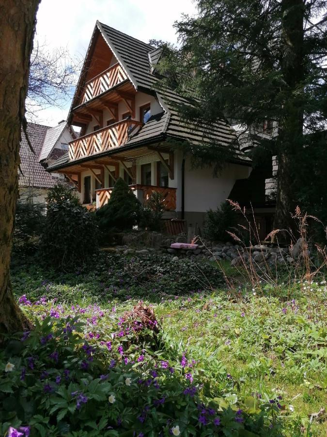 Willa Mitia Zakopane Exterior photo
