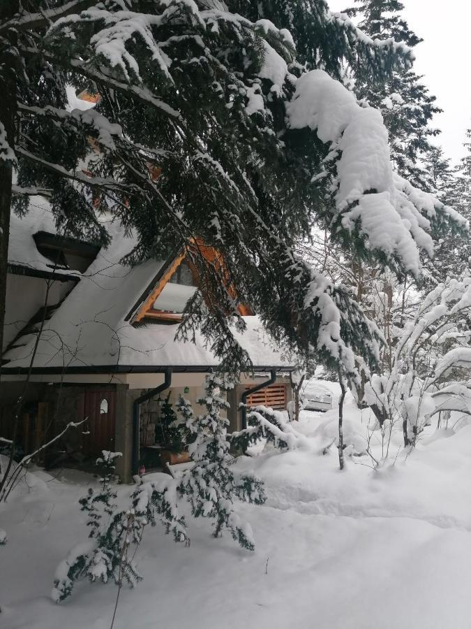 Willa Mitia Zakopane Exterior photo