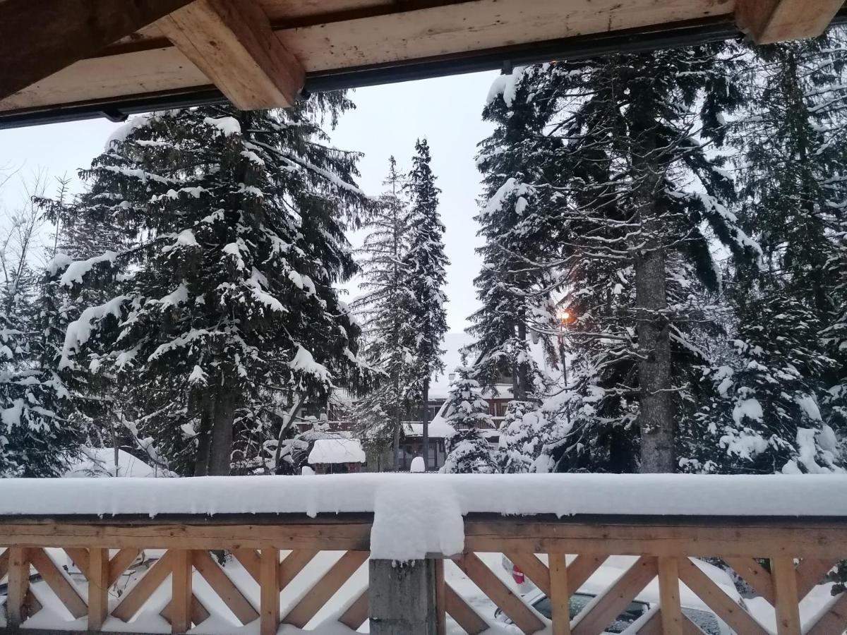 Willa Mitia Zakopane Exterior photo