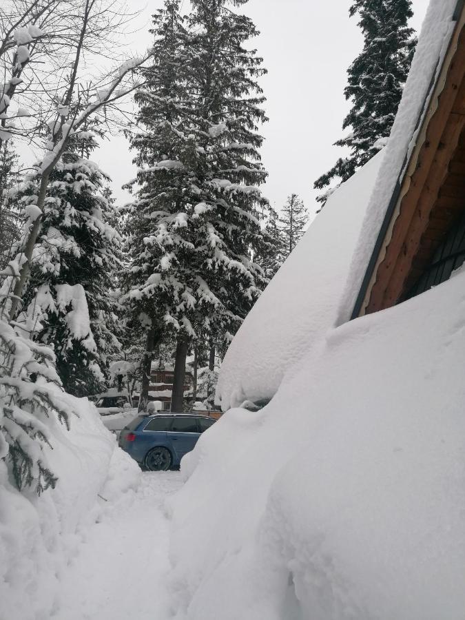 Willa Mitia Zakopane Exterior photo