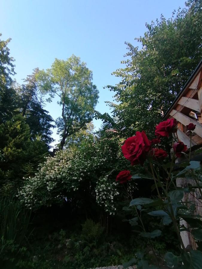 Willa Mitia Zakopane Exterior photo