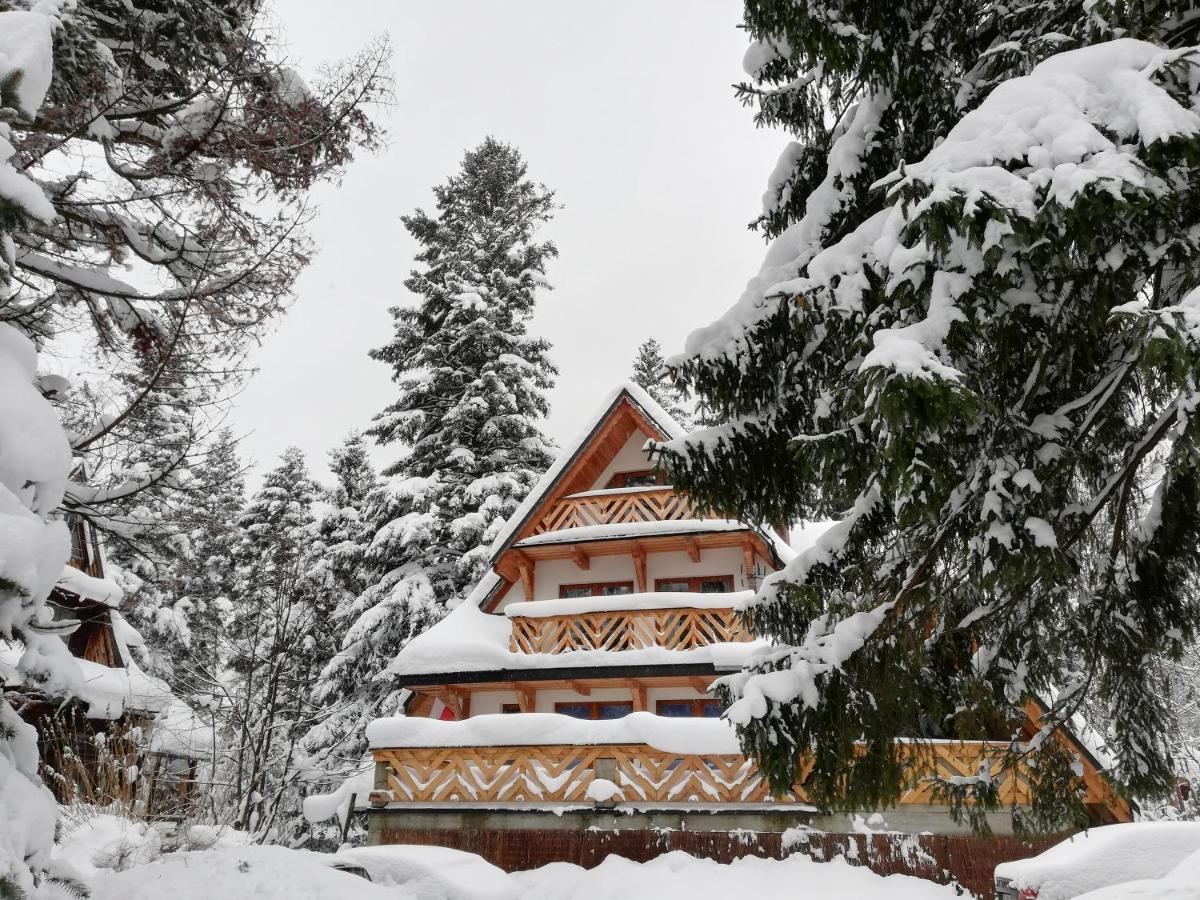 Willa Mitia Zakopane Exterior photo
